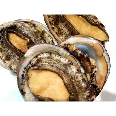 竹中水産の嗜好の大型アワビ(2㎏前後)!【H22-230】