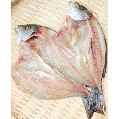 竹中水産の八幡浜発!「匠の干物三昧セット3㎏前後以上(約20枚)」【G22-177】