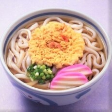 フジギク天ぷらうどん　242g(12食入り)