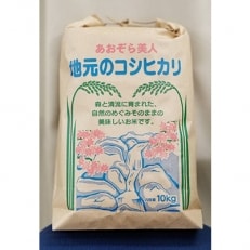 【令和3年産】あおぞら美人10kg(精米)