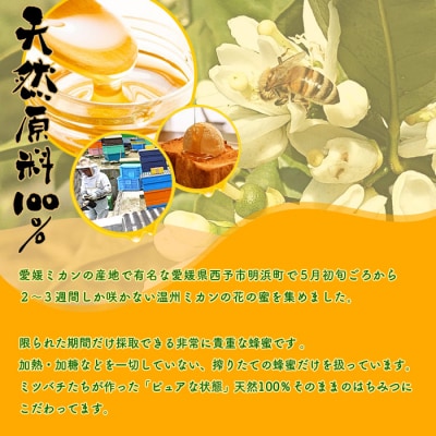 <みかん蜂蜜「ジオハニー」170g×1瓶>　柑橘　非加熱　搾りたて　明浜　ミカン
