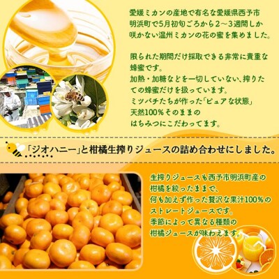 みかん蜂蜜「ジオハニー」170g×1瓶と柑橘生搾りジュース720ml×1本のセット