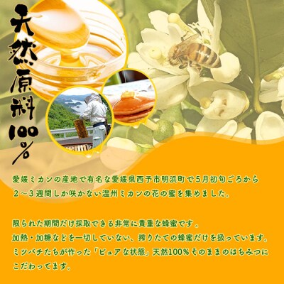 <みかん蜂蜜「ジオハニー」170g×2瓶(化粧箱入り)>　ミカン　非加熱　大地　明浜　純