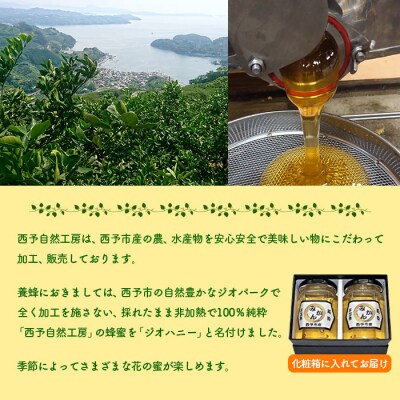<みかん蜂蜜「ジオハニー」170g×2瓶(化粧箱入り)>　ミカン　非加熱　大地　明浜　純