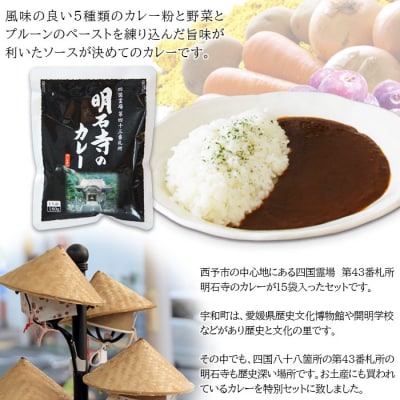 <ご当地カレー「明石寺のカレー」>　レトルト　加工品　夜食　土産　西予　本格　大容量