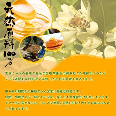<みかん蜂蜜「ジオハニー」170g×3瓶(化粧箱入り)>　ミカン　非加熱　明浜　大地　純