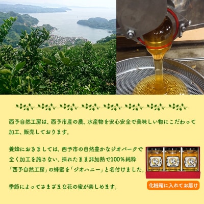 <みかん蜂蜜「ジオハニー」170g×3瓶(化粧箱入り)>　ミカン　非加熱　明浜　大地　純