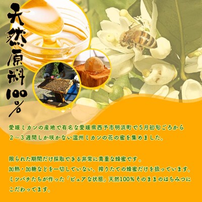 <みかん蜂蜜「ジオハニー」330g×2瓶(化粧箱入り)>　柑橘　ミカン　非加熱　搾りたて　明浜