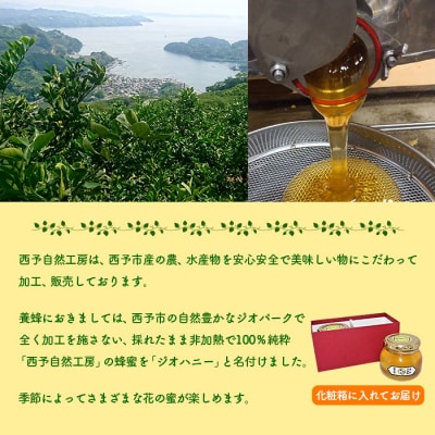<みかん蜂蜜「ジオハニー」330g×2瓶(化粧箱入り)>　柑橘　ミカン　非加熱　搾りたて　明浜