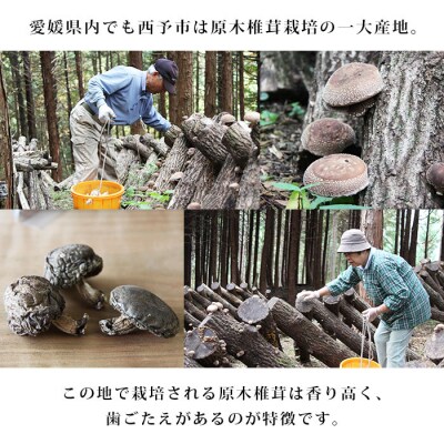 西予市産 原木乾椎茸と原木乾椎茸スライスと乾ぜんまいのセット