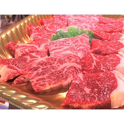 土佐あかうしロース焼肉用(約220g)【zn158】