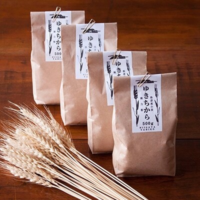 【ゆきちから100%】石挽き小麦粉 2kg(500g×4袋) 手づくりパンに最適 新潟県 弥彦村