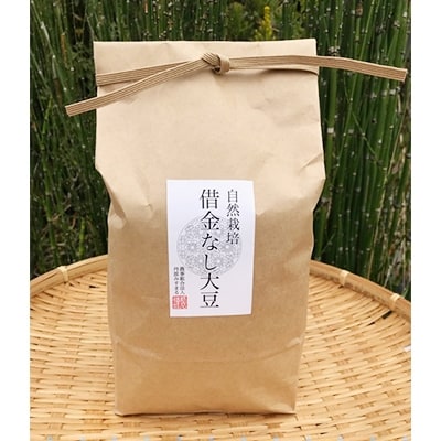 丹波市産 在来種 借金なし大豆(白大豆)1.8kg