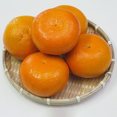 伊予柑　10kg(30～50玉入り)