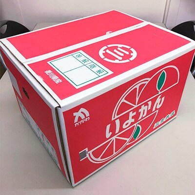 伊予柑　10kg(30～50玉入り)