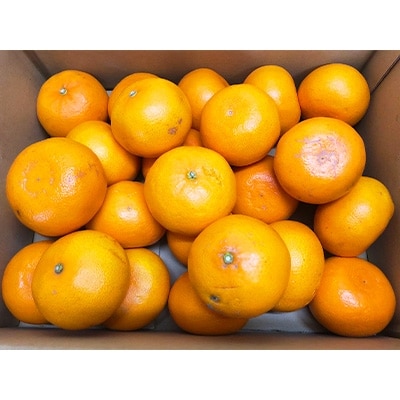 せとか　5kg(15～28玉)