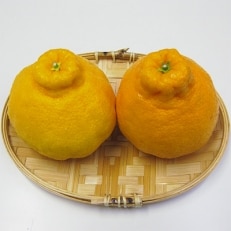 不知火　5kg(15～24玉入り) | ふるさと納税のお礼品