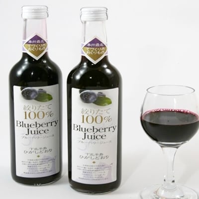 ブルーベリージュース(ストレート)500ml×2本セット「青森県東通産ブル-ベリー100%使用」 | ふるさと納税のお礼品