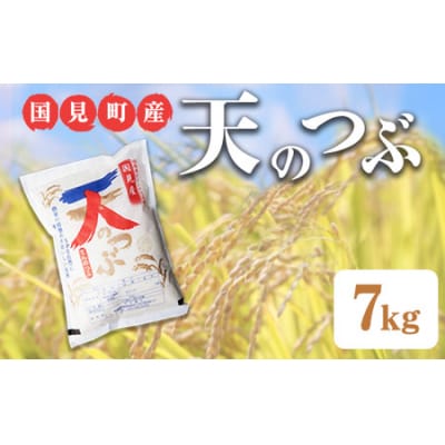 【令和6年産】米　国見町産 天のつぶ 7kg <小坂アグリ株式会社>