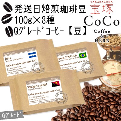 発送日焙煎珈琲 Qグレードコーヒー100g×3種 【豆】