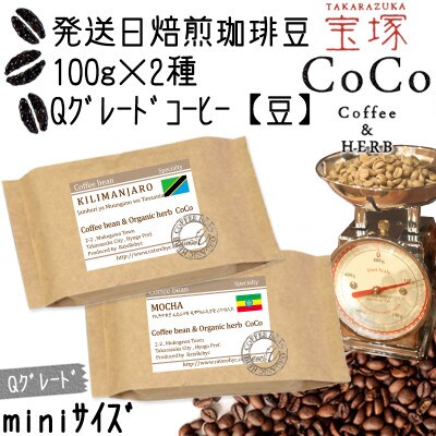 発送日焙煎珈琲 Qグレードコーヒー100g×2種【豆】モカ・キリマンジャロ
