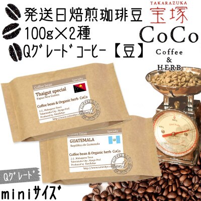 発送日焙煎珈琲 Qグレードコーヒー100g×2種【豆】タイガットスペシャル・グァテマラ