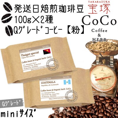 発送日焙煎珈琲 Qグレードコーヒー100g×2種【粉】タイガットスペシャル・グァテマラ