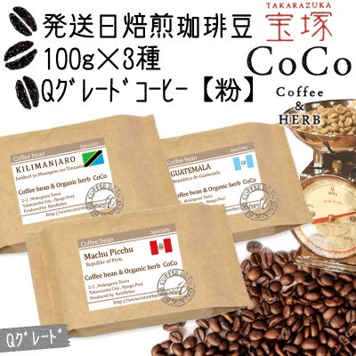 発送日焙煎珈琲 Qグレードコーヒー100g×3種 【粉】キリマンジャロ・マチュピチュ・グァテマラ