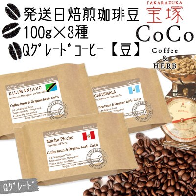 発送日焙煎珈琲 Qグレードコーヒー100g×3種 【豆】キリマンジャロ・マチュピチュ・グァテマラ