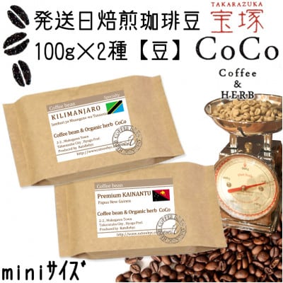 発送日焙煎珈琲 100g×2種【豆】キリマンジャロ・プレミアムカイナントゥ
