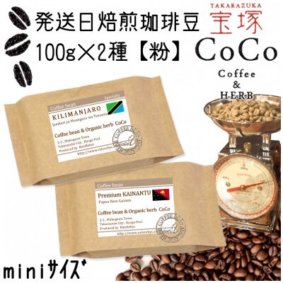 発送日焙煎珈琲 100g×2種【粉】キリマンジャロ・プレミアムカイナントゥ