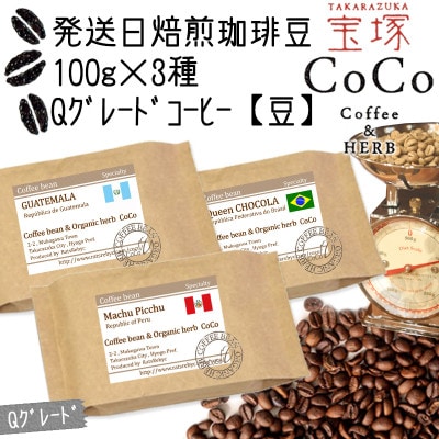 発送日焙煎珈琲 100g×3種【豆】マチュピチュ・ショコラ・ガテマラ
