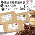 発送日焙煎珈琲 100g×3種【粉】マチュピチュ・ショコラ・ガテマラ