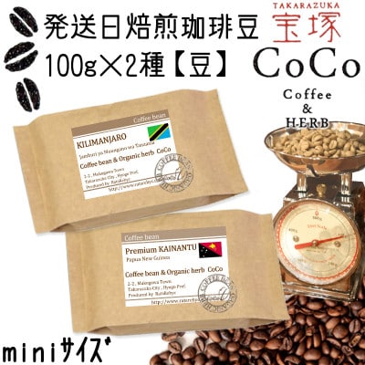 発送日焙煎珈琲 コーヒー100g×2種 【豆】キリマンジャロ・プレミアムカイナントゥ