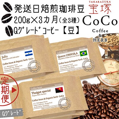 【毎月定期便】【宝塚】3ヶ月の定期便mini-B豆(発送日焙煎珈琲豆3種)全3回