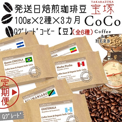【毎月定期便】【宝塚】3ヶ月の定期便mini-C豆(発送日焙煎珈琲豆6種)全3回