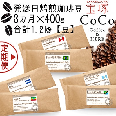 【毎月定期便】【宝塚】3ヶ月の定期便 A【豆】(発送日焙煎珈琲豆6種類)全3回