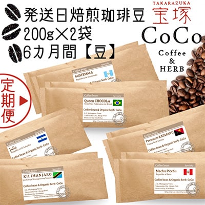 【毎月定期便】【宝塚】6ヶ月の定期便【豆】(発送日焙煎珈琲豆6種類)全6回