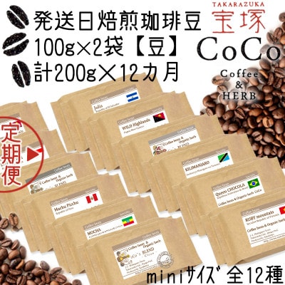 【毎月定期便】【宝塚】12ヶ月の定期便Zmini【豆】(発送日自家焙煎珈琲豆・全12種)全12回