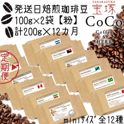 【毎月定期便】【宝塚】12ヶ月の定期便Zmini【粉】(発送日自家焙煎珈琲豆・全12種)全12回