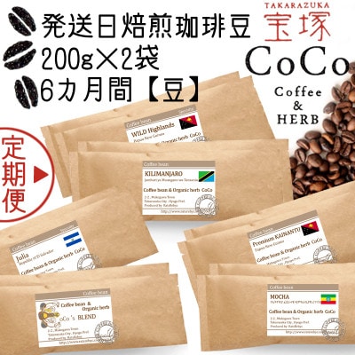 【毎月定期便】【宝塚】6ヶ月の定期便【豆】(発送日自家焙煎珈琲豆・全6種 計2400g)全6回