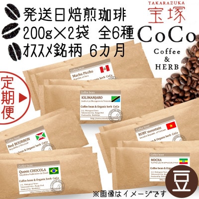 【毎月定期便】【宝塚】6ヶ月の定期便【豆】(発送日自家焙煎珈琲豆・全6種 計2400g)全6回