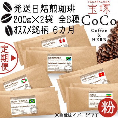 【毎月定期便】【宝塚】6ヶ月の定期便【粉】(発送日自家焙煎珈琲豆・全6種 計2400g)全6回
