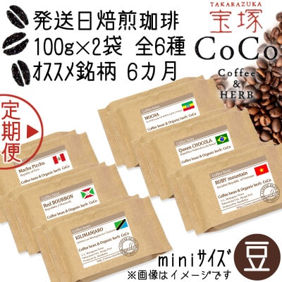 【毎月定期便】【宝塚】6ヶ月定期便mini【豆】(発送日自家焙煎珈琲豆・全6種 計1200g)全6回