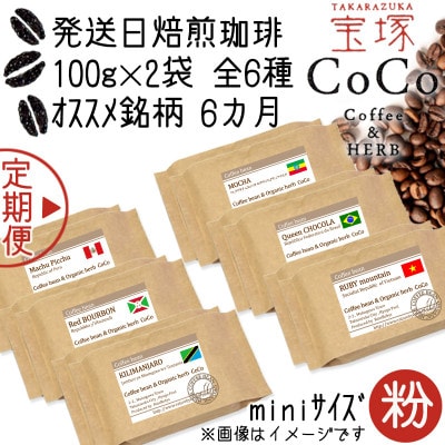【毎月定期便】【宝塚】6ヶ月定期便mini【粉】(発送日自家焙煎珈琲豆・全6種 計1200g)全6回