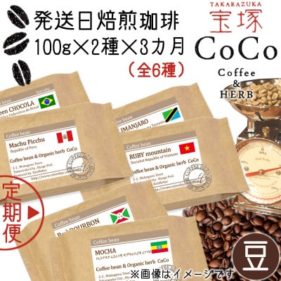 【毎月定期便】【宝塚】3ヶ月定期便mini【豆】(発送日自家焙煎珈琲豆・全6種 計600g)全3回