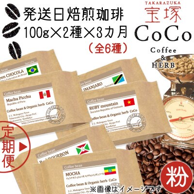 【毎月定期便】【宝塚】3ヶ月定期便mini【粉】(発送日自家焙煎珈琲豆・全6種 計600g)全3回