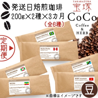 【毎月定期便】【宝塚】3ヶ月の定期便【豆】(発送日自家焙煎珈琲豆・全6種 計1.2kg)全3回