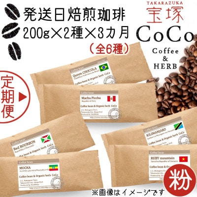 【毎月定期便】【宝塚】3ヶ月の定期便【粉】(発送日自家焙煎珈琲豆・全6種 計1.2kg)全3回