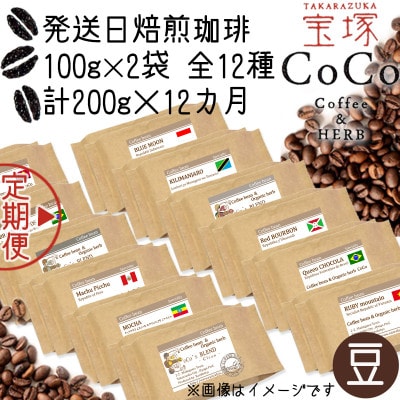【毎月定期便】【宝塚】12ヶ月mini【豆】(発送日自家焙煎珈琲豆・全12種 計2.4kg)全12回